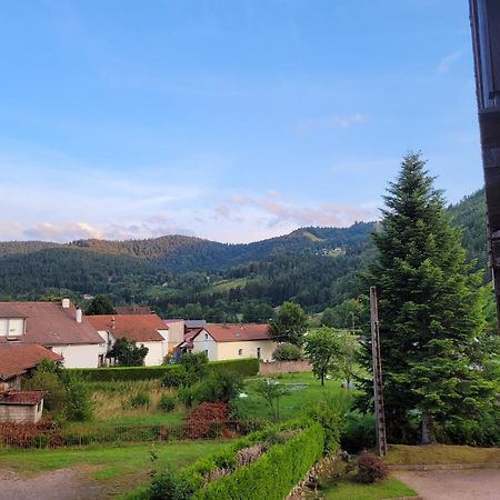 Appartement Chaleureux Au Coeur Des Hautes Vosges Ventron Εξωτερικό φωτογραφία