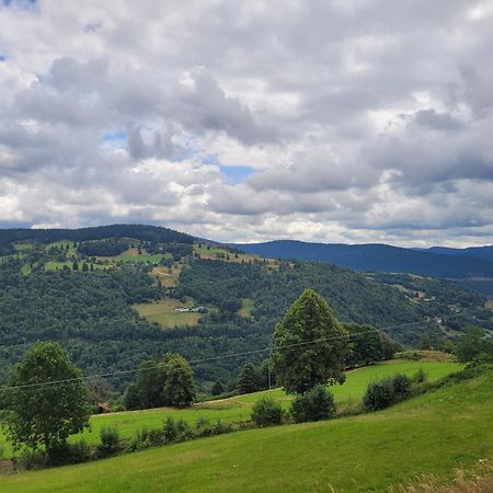 Appartement Chaleureux Au Coeur Des Hautes Vosges Ventron Εξωτερικό φωτογραφία