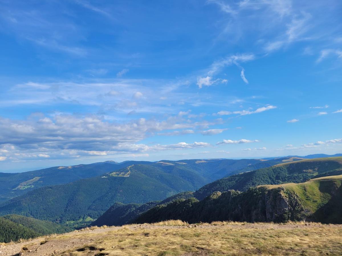 Appartement Chaleureux Au Coeur Des Hautes Vosges Ventron Εξωτερικό φωτογραφία