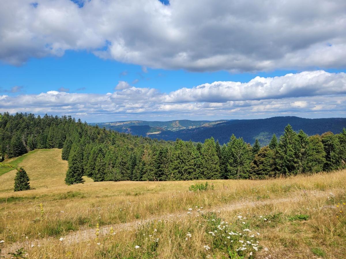 Appartement Chaleureux Au Coeur Des Hautes Vosges Ventron Εξωτερικό φωτογραφία