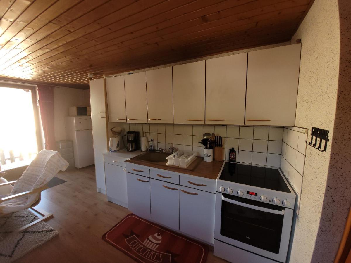 Appartement Chaleureux Au Coeur Des Hautes Vosges Ventron Εξωτερικό φωτογραφία