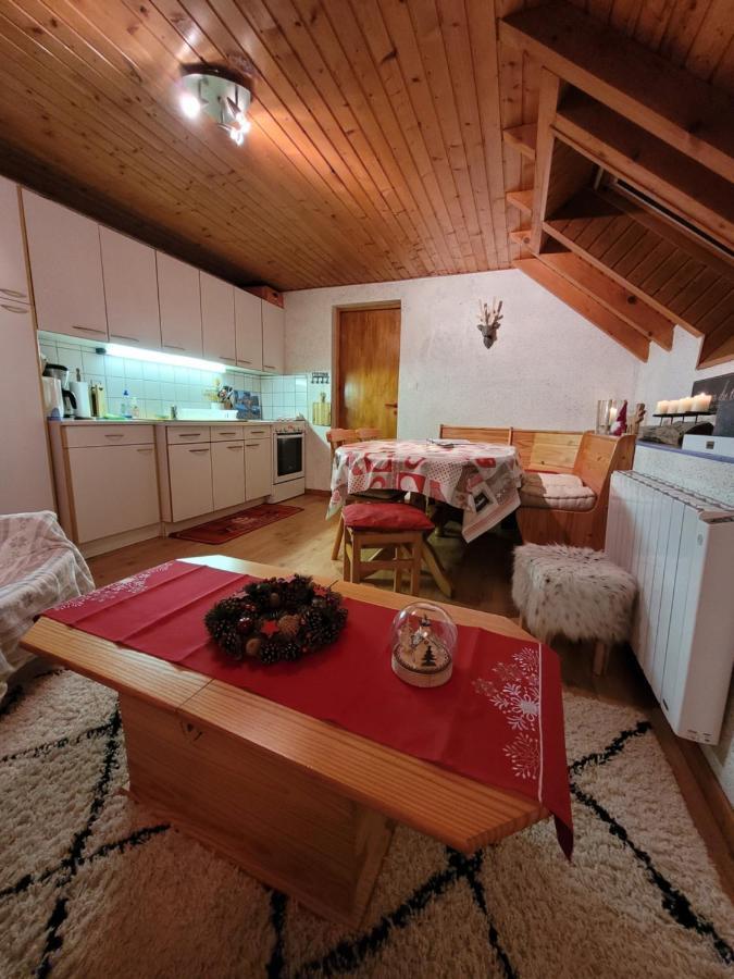 Appartement Chaleureux Au Coeur Des Hautes Vosges Ventron Εξωτερικό φωτογραφία